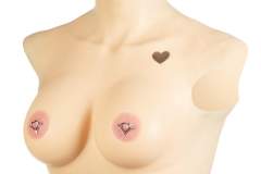 DT2500P-CUSTOM_Breast-Plate_a-La-Carte_1