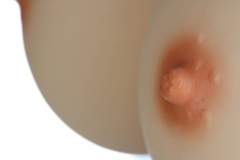 DT2500P_Proform-Silicone-Breast-Plate_12