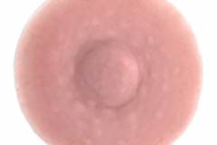 Rosebud