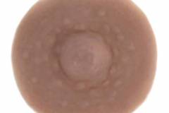 Tawny-Rouge