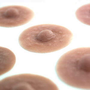 Skinister Prosthetic Nipple Perks - Image 6
