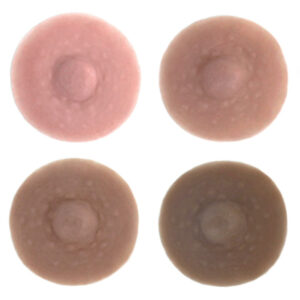 Breast Plate a La Carte - Image 7